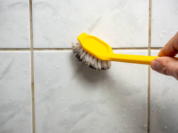 Reliable La Huerta, NM Mold Removal Solutions