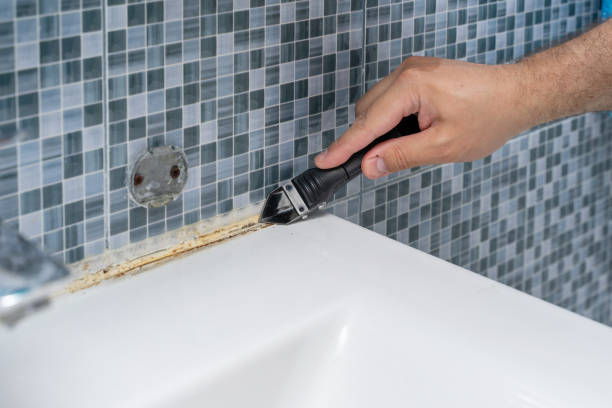 Best Local Mold Removal Service  in La Huerta, NM